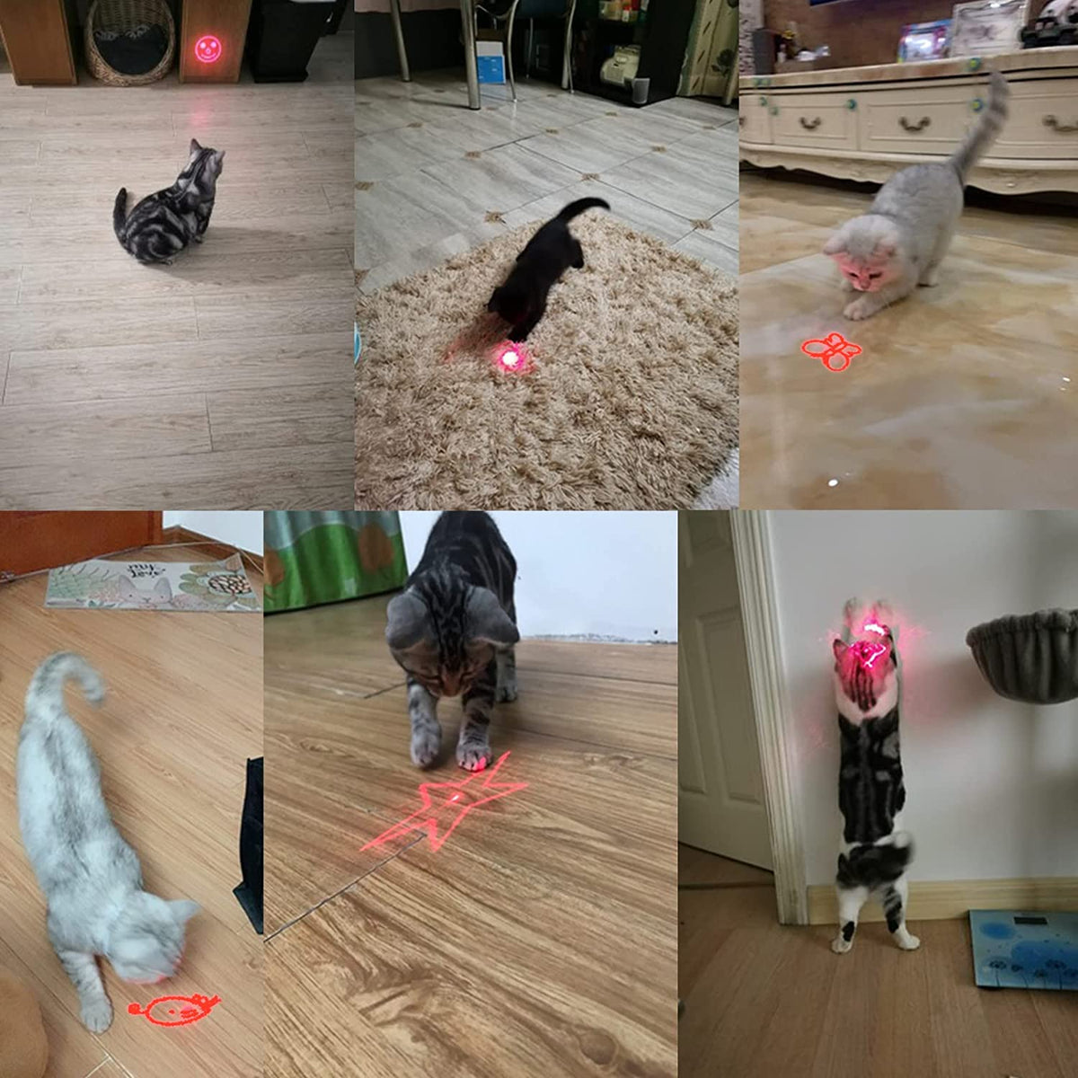USB charging - Laser toy for cats